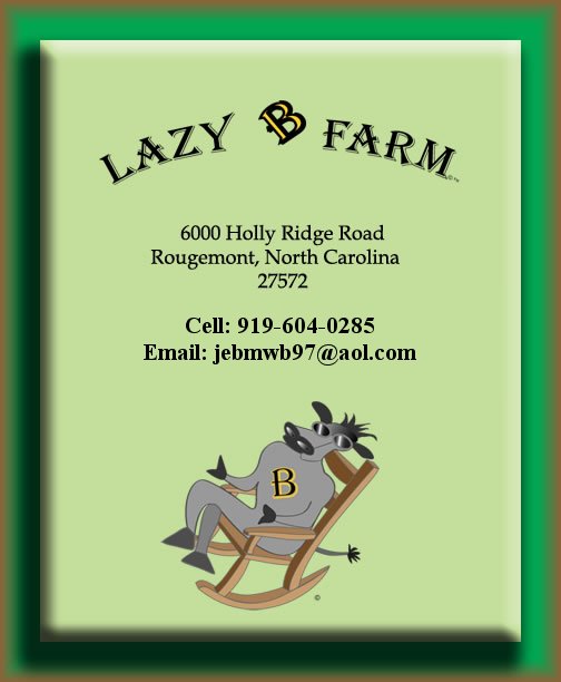 Contact Info